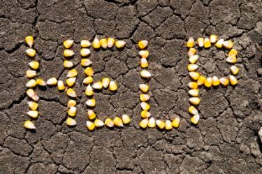 149833-375x249-HelpFoodShortage