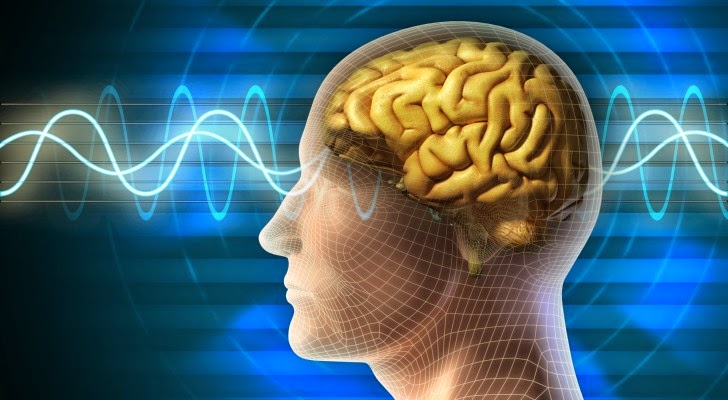Brain_waves-728x400