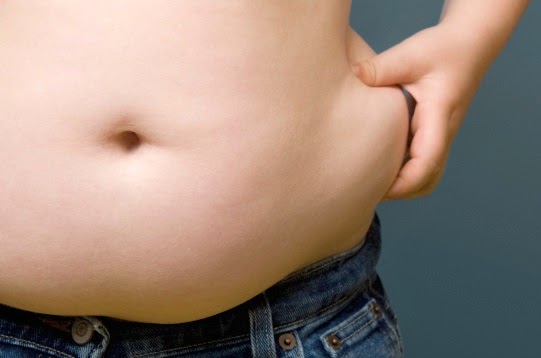understand-belly-fat