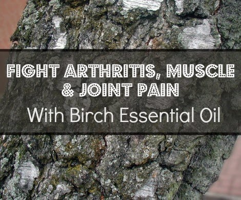 Fight-arthritis-pain-with-birch-essential-oil Fight-arthritis-pain-with-birch-essential-oil