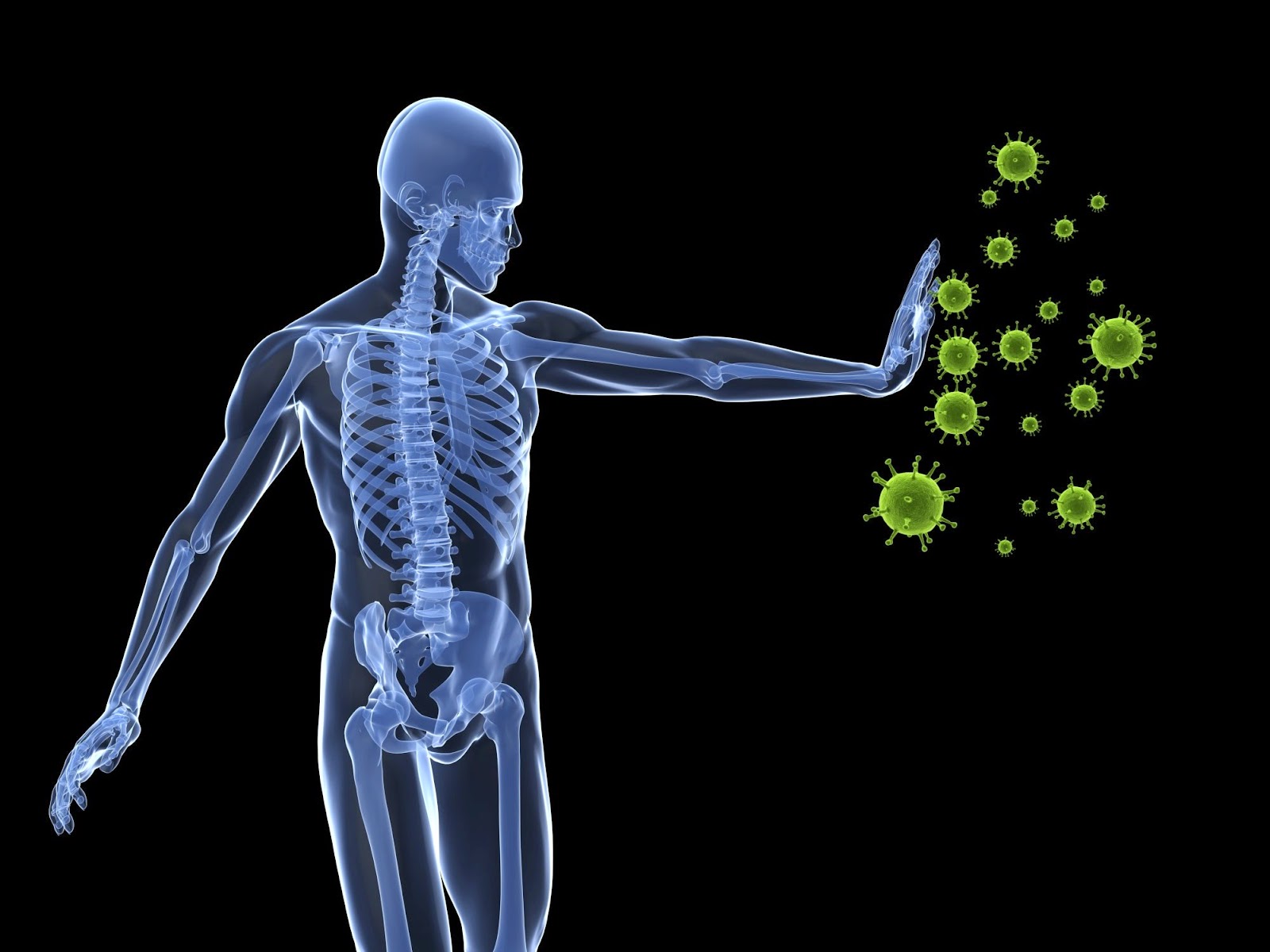 Immune-System