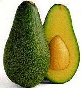 avocado avocado