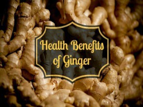 ginger ginger
