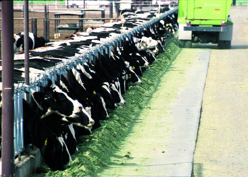 factory-farm