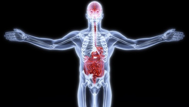 Gut-and-Brain Gut-and-Brain