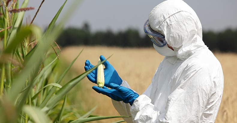 GMO-Scientist-Blows-the-Whistle-on-Monsanto.jpg
