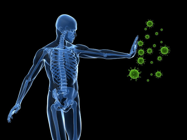 Immune-System.jpg Immune-System.jpg