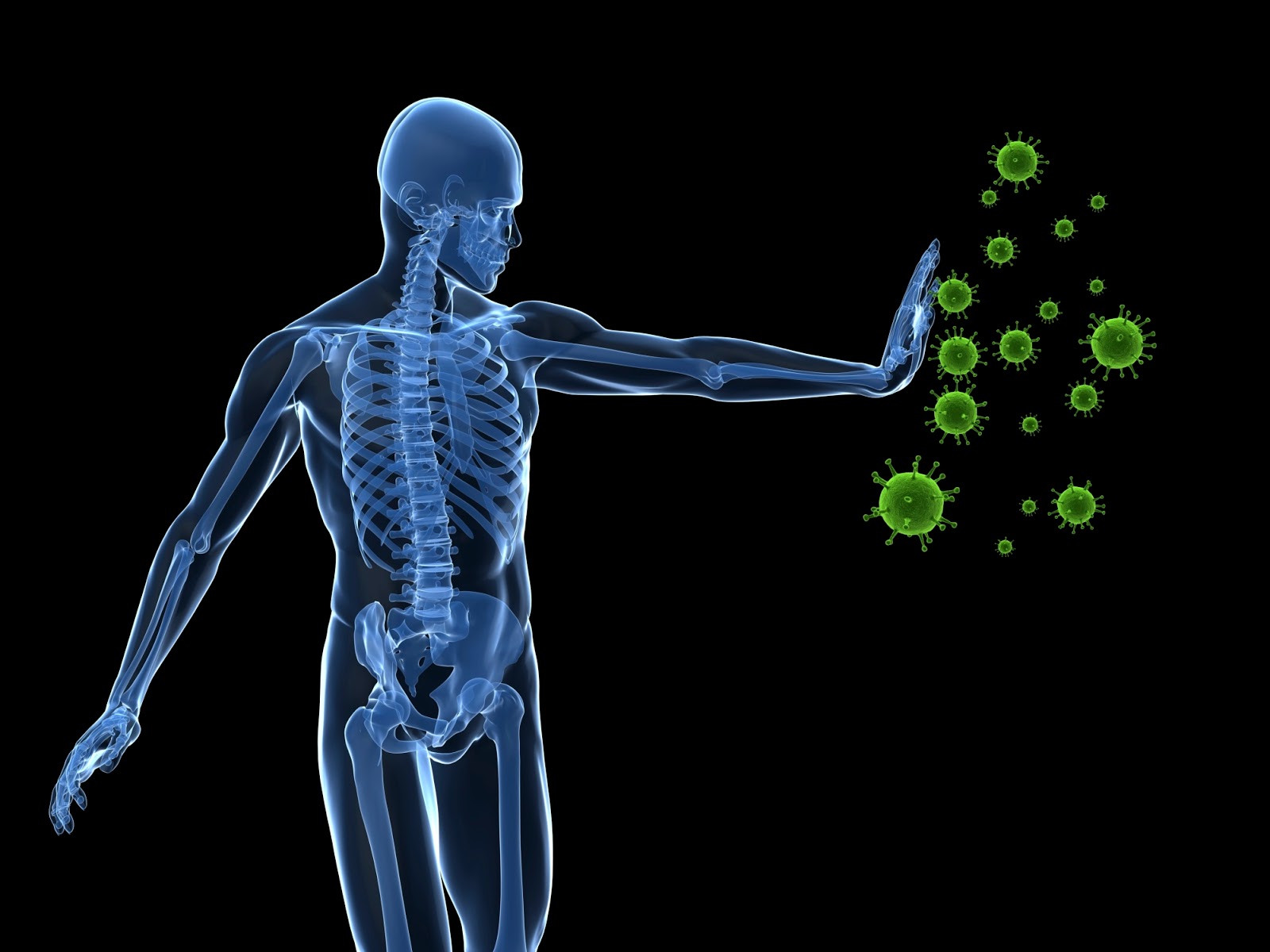 Grand Deception in Virus and Disease Research