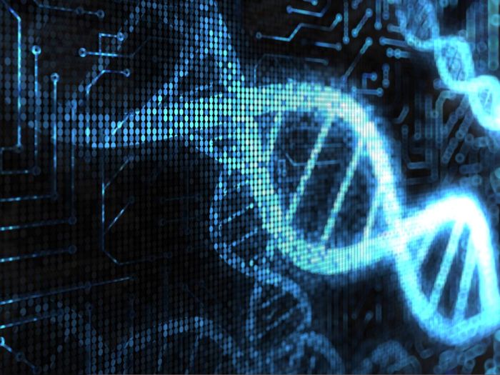 DNA-Patent DNA-Patent
