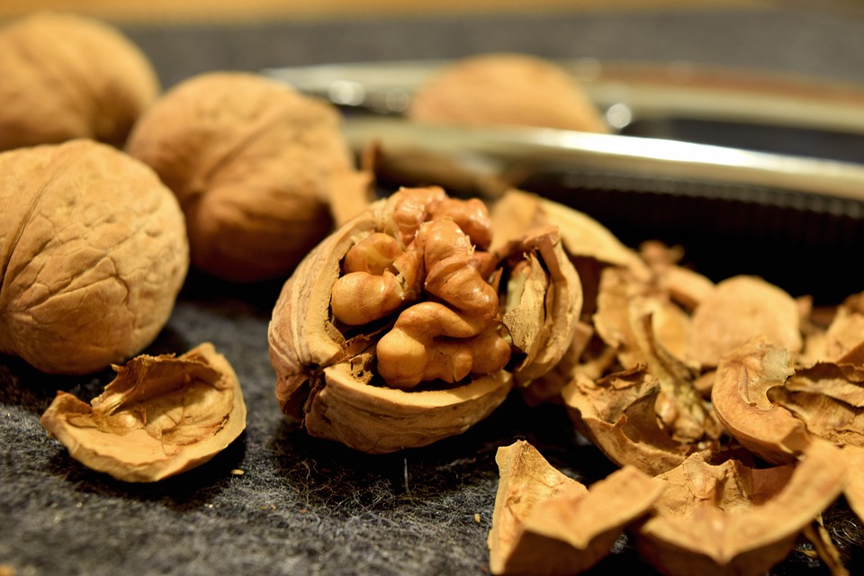 walnuts-932080_960_720