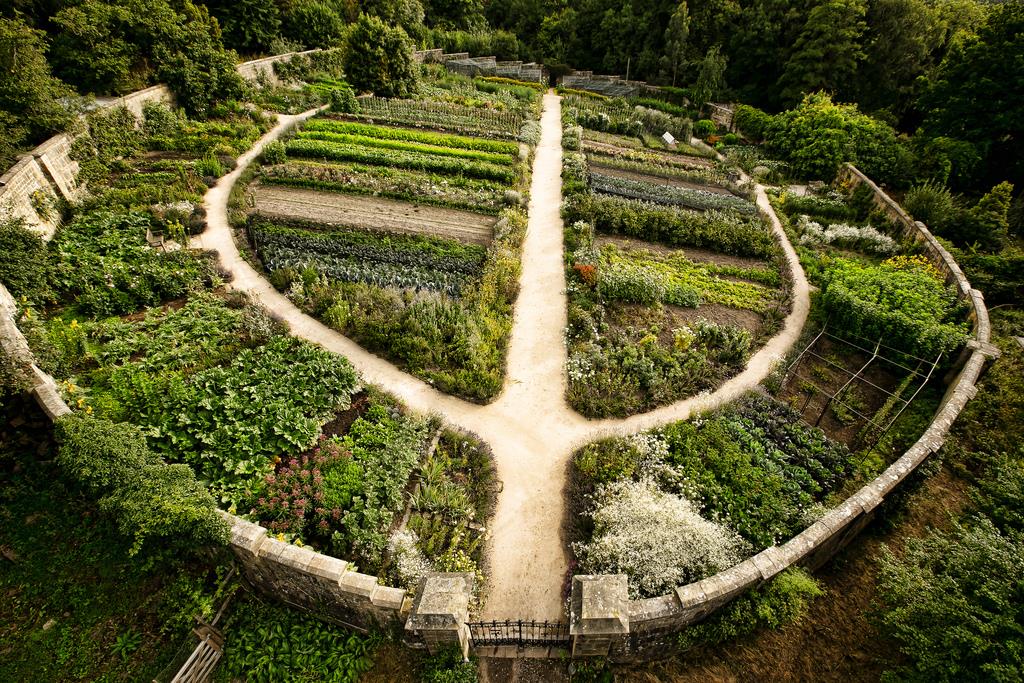 permaculture1 permaculture1