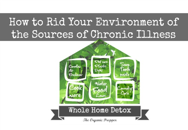 Home Detox: How to Rid Your Environment of the Sources of Chronic Illness