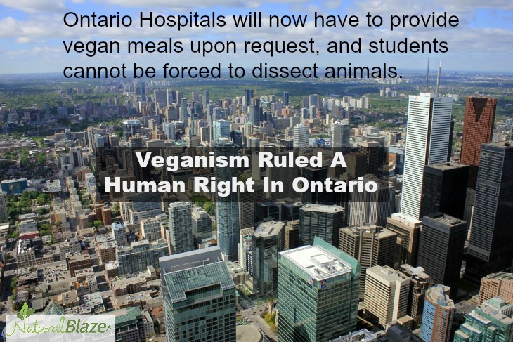 Ontario1 Ontario1