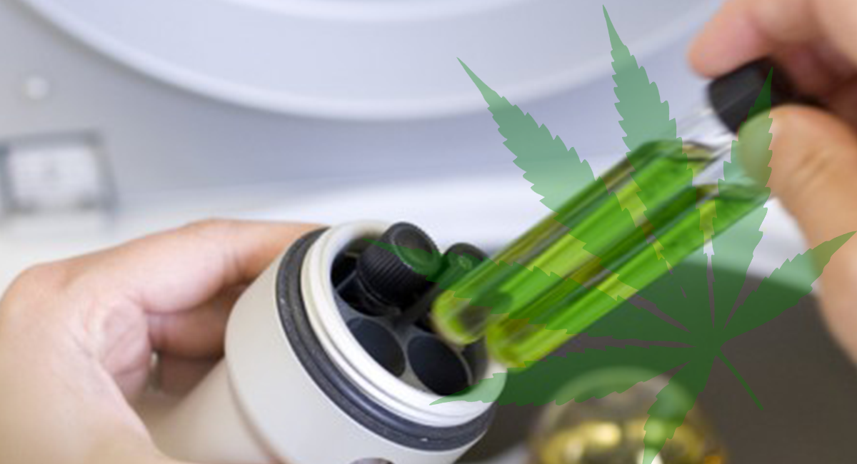 Big Pharma is Synthesizing Cannabis to Make a Patent-able Pill and It’s Killing People