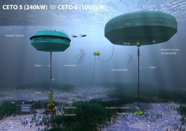 ceto-5-and-ceto-6 ceto-5-and-ceto-6