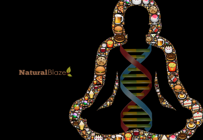 junk food dna junk food dna