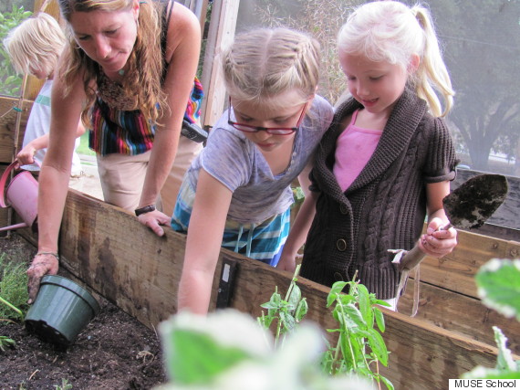 o-MUSE-SCHOOL-GARDEN-570 o-MUSE-SCHOOL-GARDEN-570