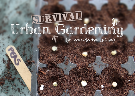urbansurvivalgardening urbansurvivalgardening
