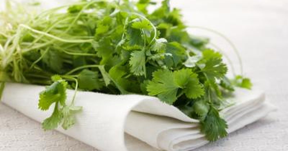 Nutrient Herb Controls Blood Sugar, Cholesterol and Free Radicals