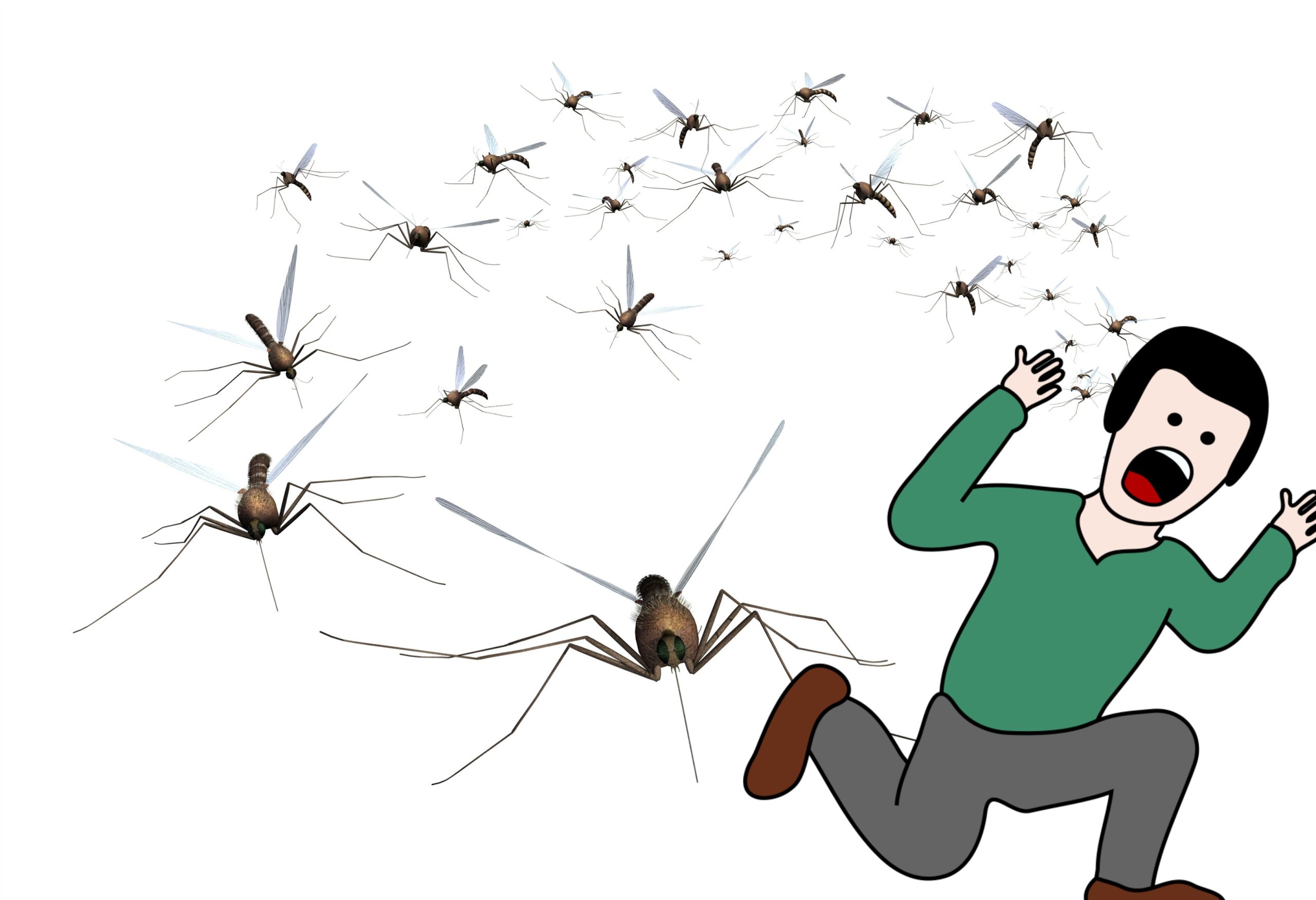 Zika Freaka 2: Spraying Plane Cabins, Robot Reporters
