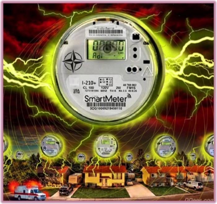 Victoria, Australia Smart Meters Health Damages Case Study Published and What to Know to Protect Yourself