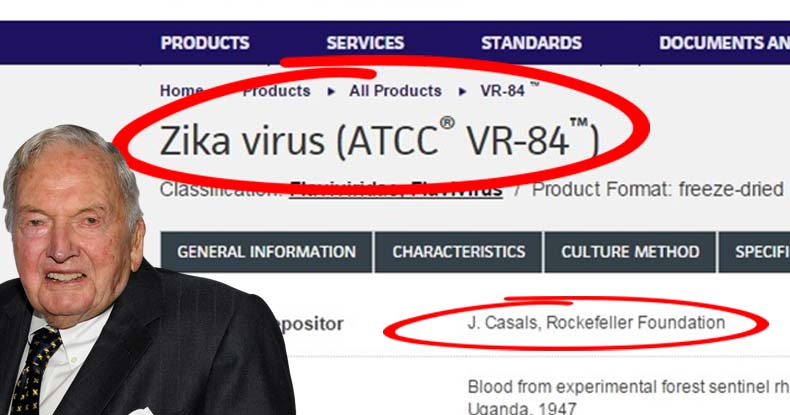 zika-virus-rockerfeller zika-virus-rockerfeller