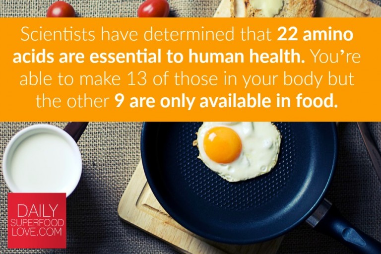 benefits-of-a-high-protein-diet-IG-768x512 benefits-of-a-high-protein-diet-IG-768x512