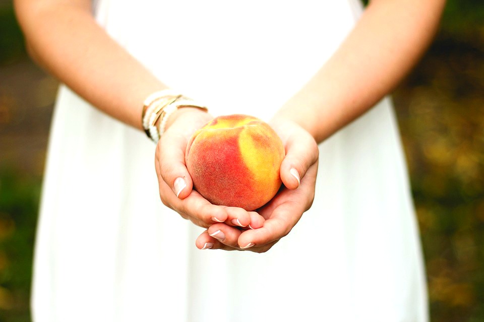 peach-698592_960_720 peach-698592_960_720
