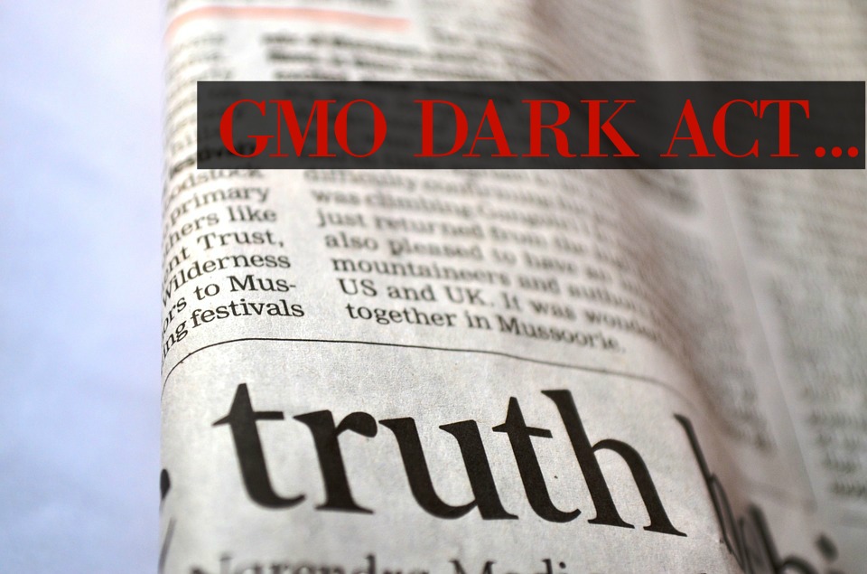 truth-166853_960_720