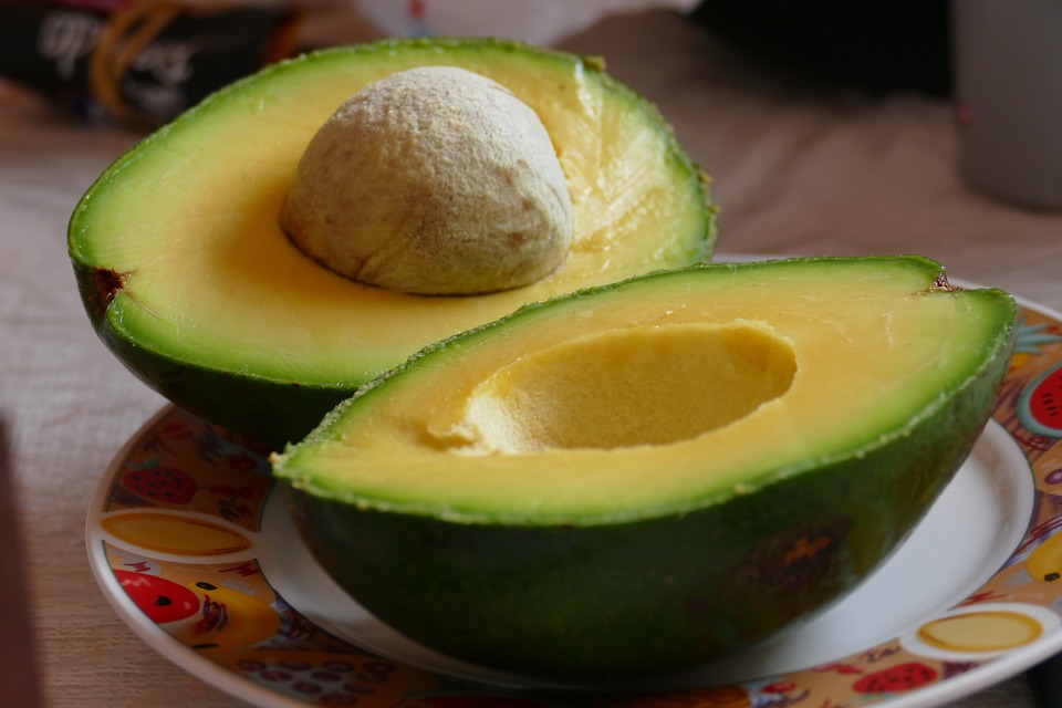 avocado-878958_960_720 avocado-878958_960_720