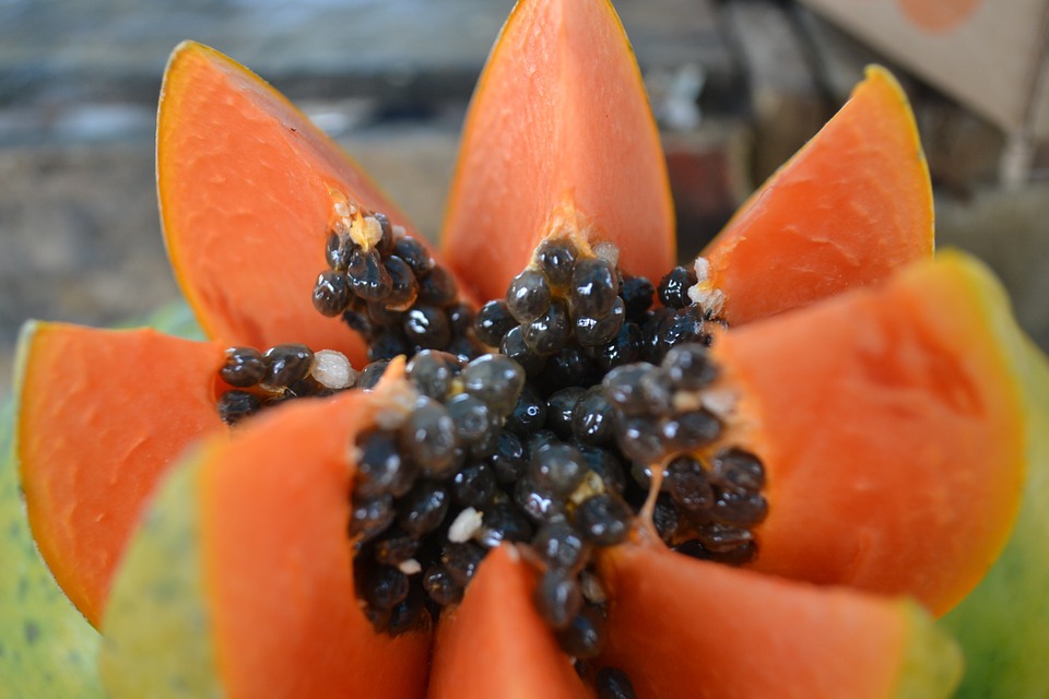 papaya-966322_960_720