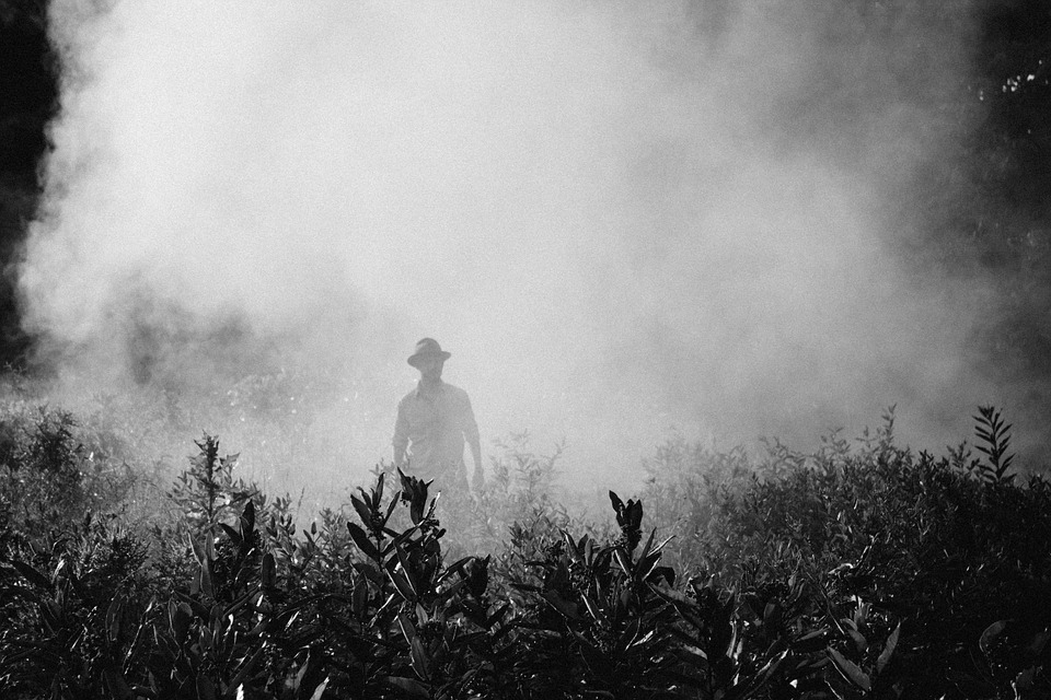 fog-918976_960_720 fog-918976_960_720