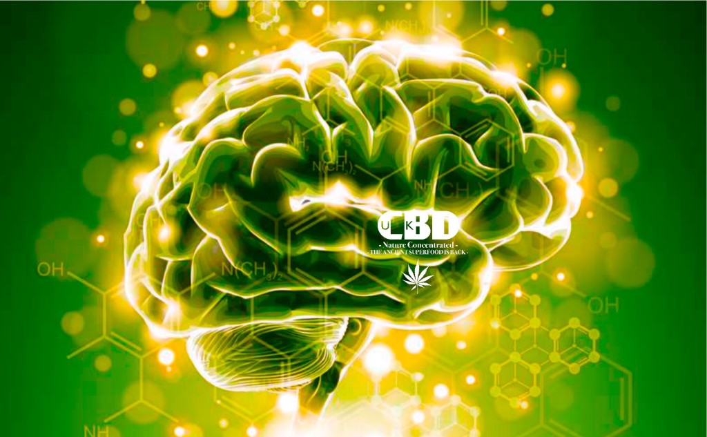 cbd-benefits-1024x633