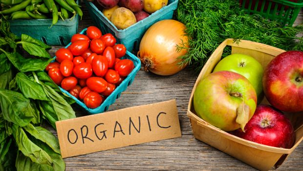 organic-farming.jpg