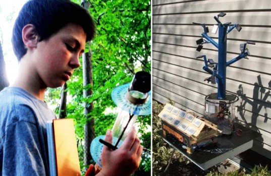 13-year-old-inventor-cracks-the-secret-of-trees-to-revolutionize-solar-energy