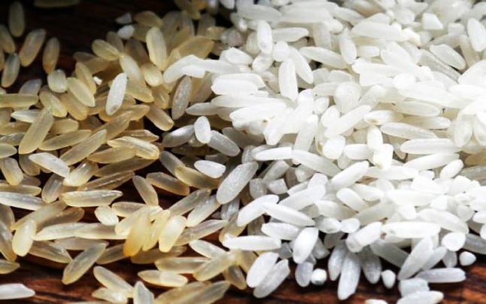 plastic-rice-1-696x435 plastic-rice-1-696x435