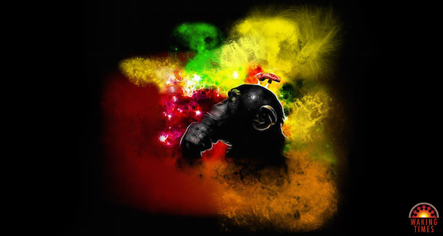 stoned-ape