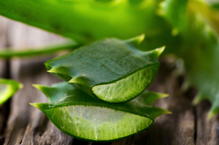 aloe-1 aloe-1