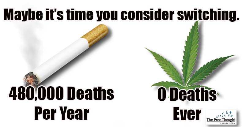Landmark Study: Pot Smoke Doesn’t Cause Strokes, But Tobacco Does and Cannabis Can Stop It