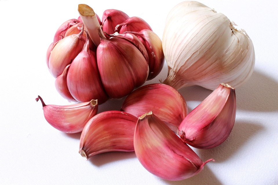 garlic-618400_960_720 garlic-618400_960_720