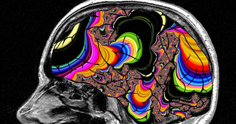 lsd