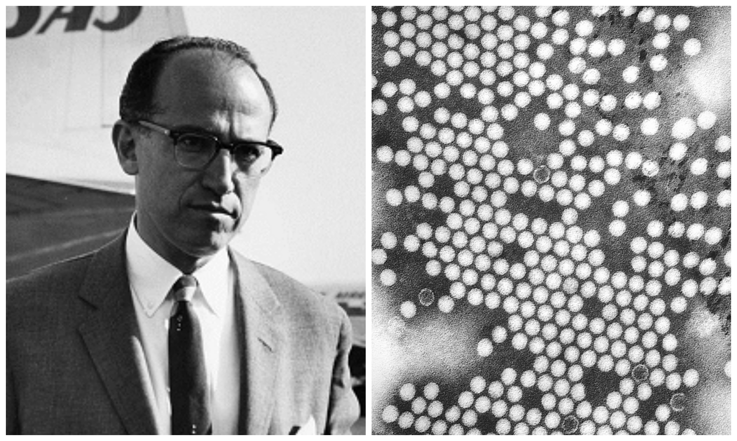 3 Polio Facts That The CDC Wishes You Didn’t Know