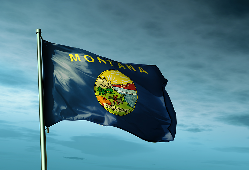 Montana health freedom TAC Montana health freedom TAC