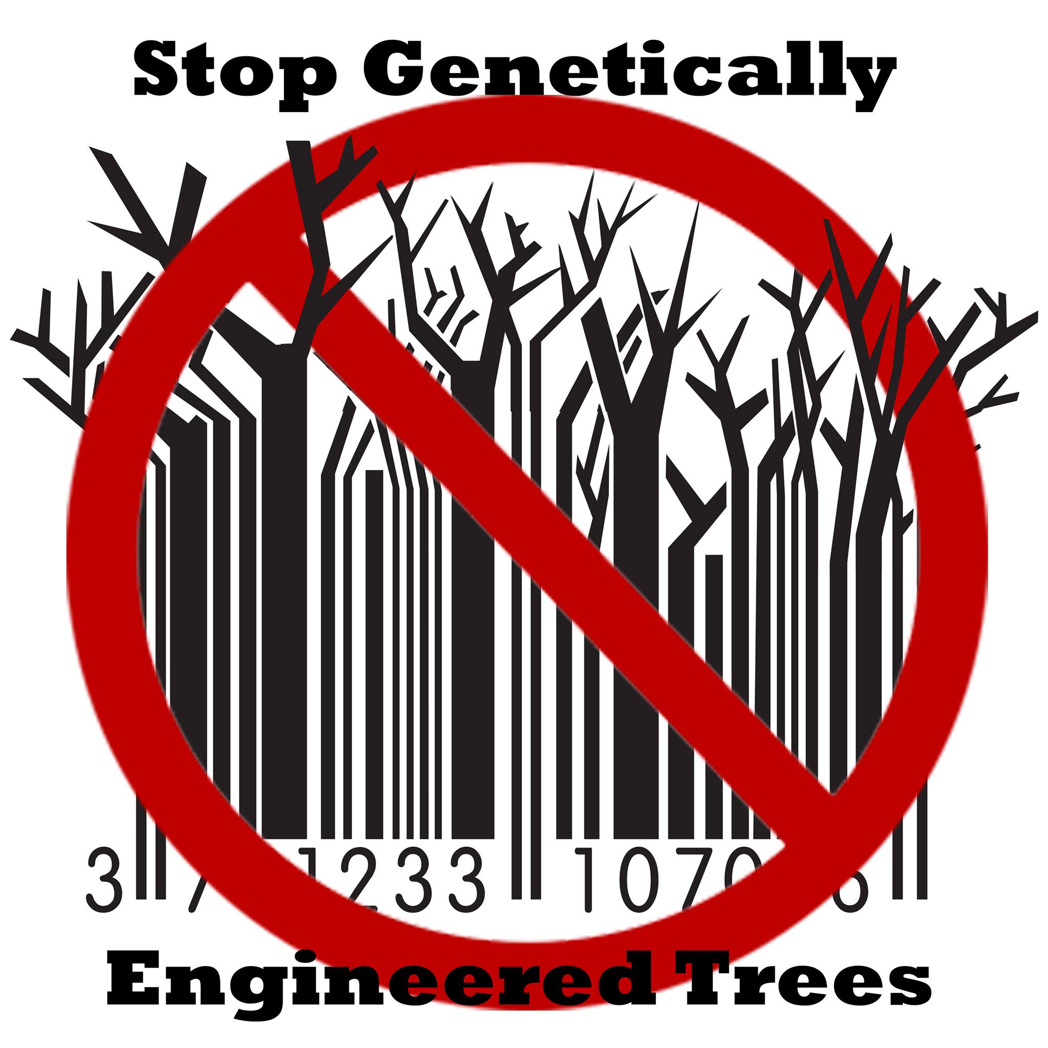 stop ge trees