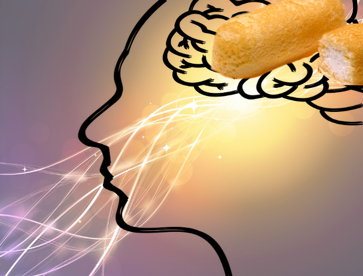junk food shrinks brain
