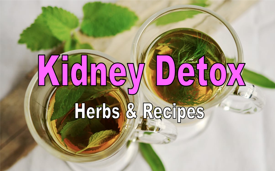 kidney-detox kidney-detox