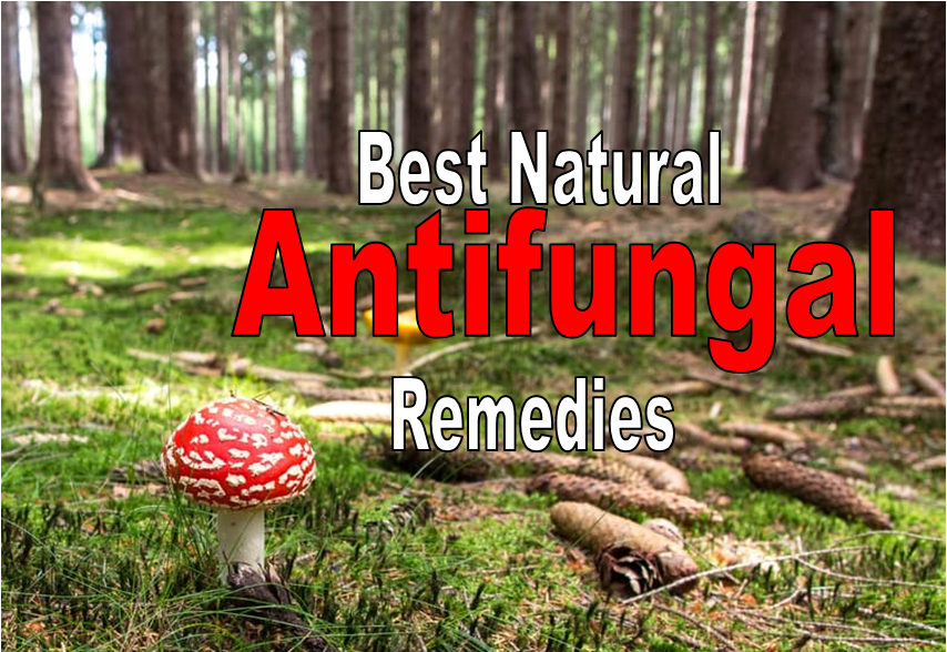 natural-antifunfal-remedies