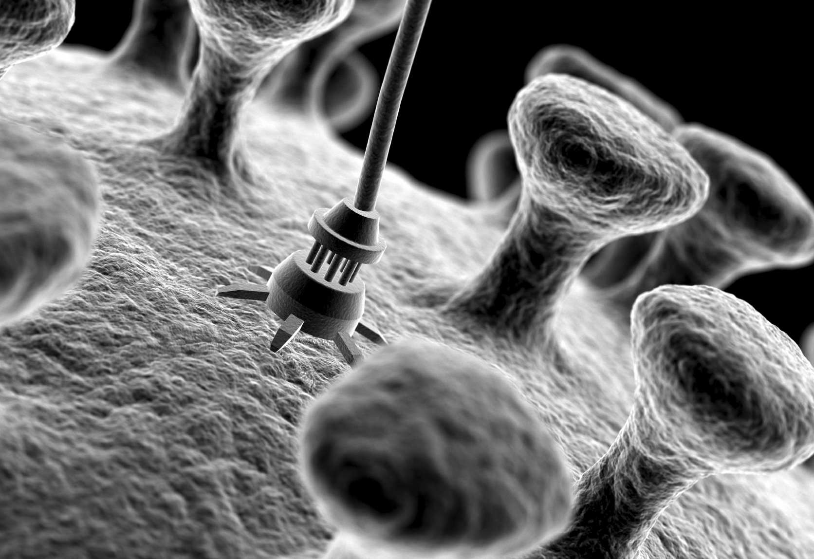 Nanotech Nanotech