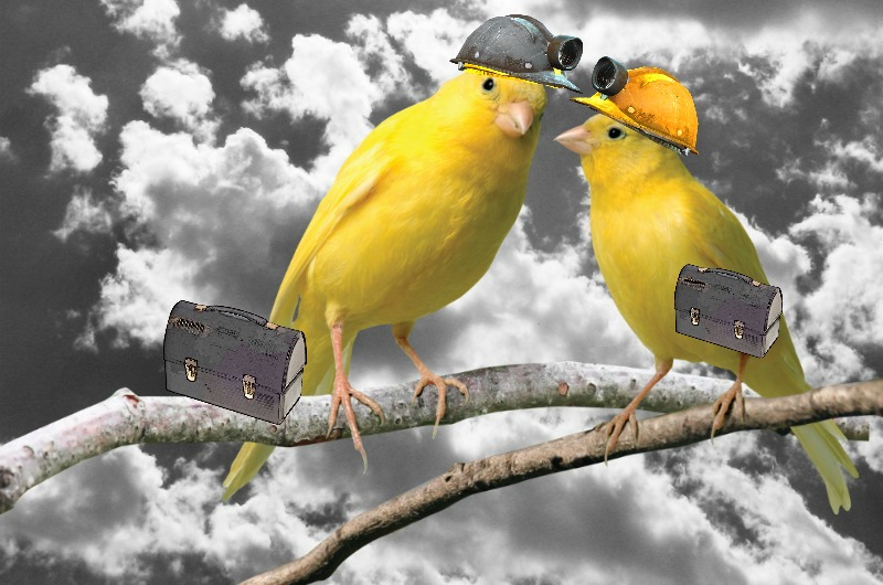 Are You A GMO “Canary-In-The-Coalmine” But Don’t Recognize It?