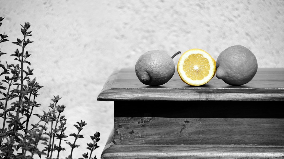 GMO Citrus Coming to a Store Near You?